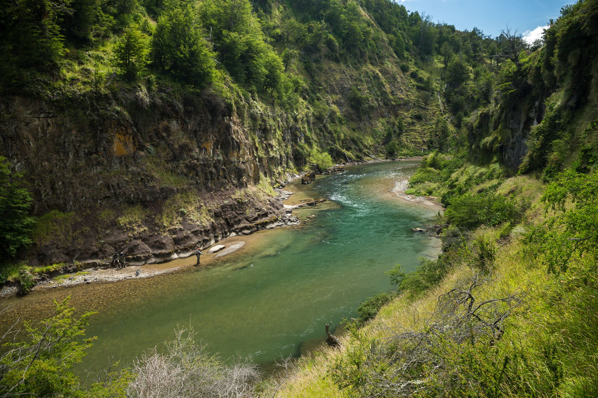 dry fly fishing