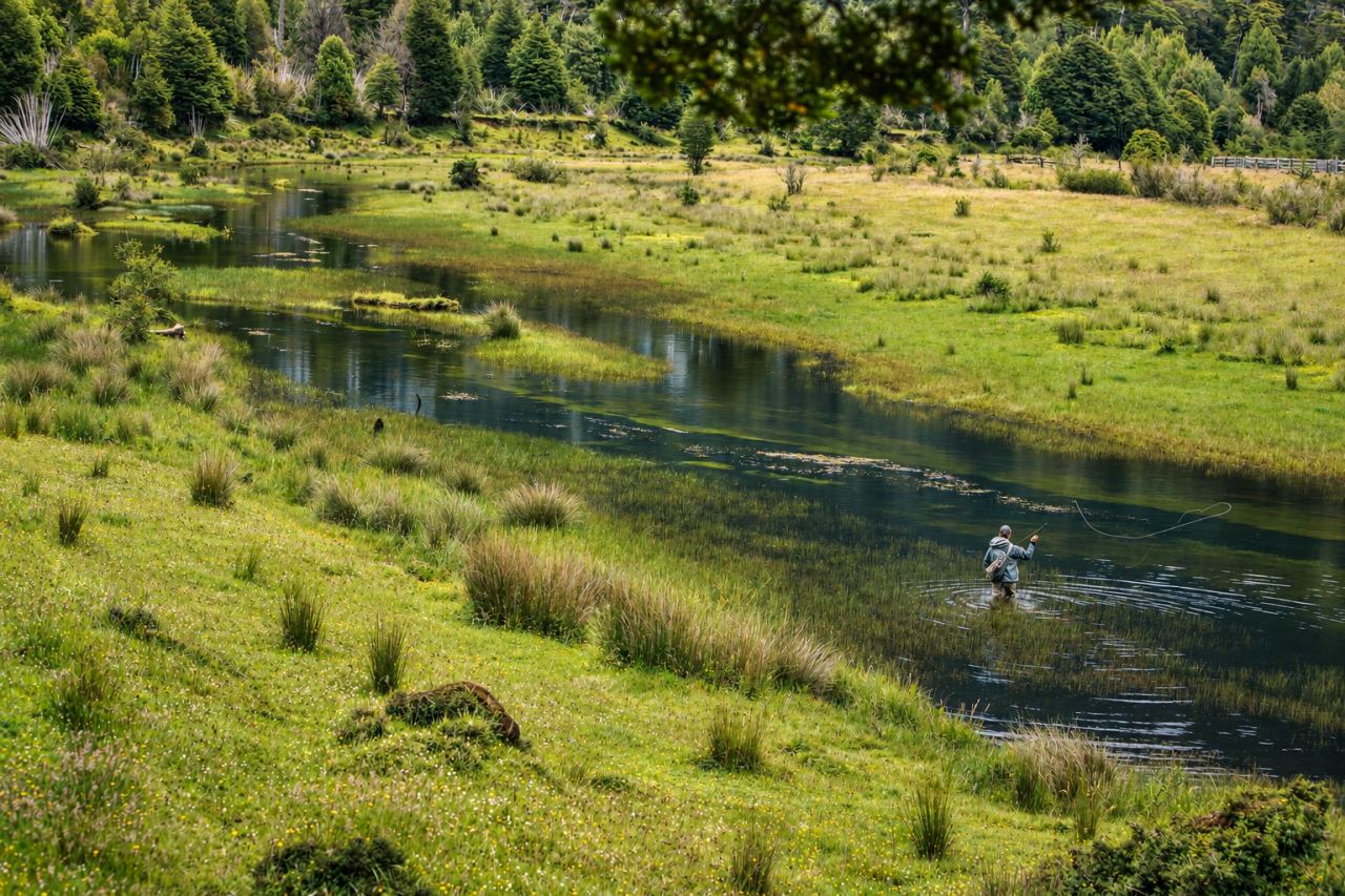 Angler wading a meadow spring creek